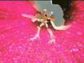 WarGreymon y MetalGarurumon DNA Digivolve: Omnimon