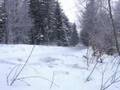 OS Bielanka szczyt rozjazd Kunkowa - Nowica02 D11.02.2006