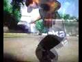 hippie flip: skate