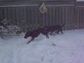 First snowfall \ First snowfall \