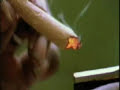 Peter Tosh - Legalize it live