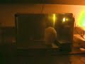 rudolf the rat is exposed to two fixed ratio 5 schedules. the light (learned reinforcer) is contingent on rudolf's 5th spin. the light then functions as a discriminative stimulus in the presence of which the 5th full, two-paw lever press will be reinforced with the dipper click (learned reinforcer), 