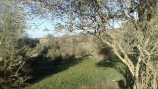دير الدبان - الخليل.wmv