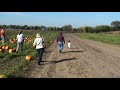 grandpa chasing zoe at the pumpkin patch grandpa chasing zoe at the pumpkin patch