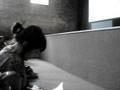  - MovieZen Video