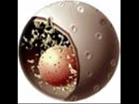 CELULA