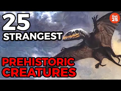 creatures - Tweet this video! - http://clicktotweet.com/E_Bqc The world is cluttered with so many different creatures -- some cute, some scary and some just plainly biza...