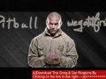 Pitbull ft Nina Sky Boom Bounce (new music song 2009) + Download