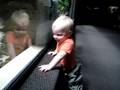 videos de Ore in the Zoo