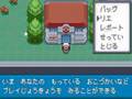 ポケモン改造 4th