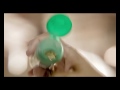Click here to watch this video TWIST 5 Basil Lime and Chilli Roasted Mielies