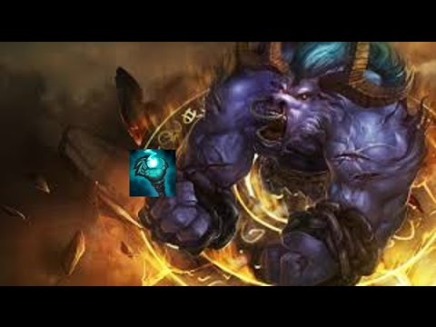 AP Moo Cow OP