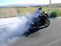 zx12r burnout