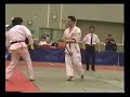 kyokushin karate VS wtf taekwondo