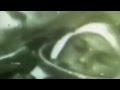 Remembering Yuri Gagarin