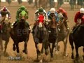 Equestrian- Remember The Name