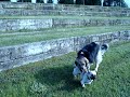 Cómo esquivar a Alana