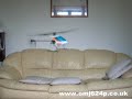 Indoor Helicopters - Walkera 4 and Colco Thunderbird
