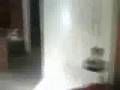 Crazy guy screaming at his cats Crazy guy screaming at his cats