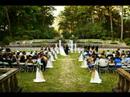 wedding photography YouTube Preview Image