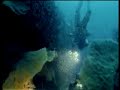 People Protect what they love (Jacques Yves COUSTEAU)
