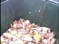 The Foie Gras Assembly Line