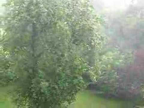 Orage violent : pluie et vent