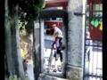 videos de zentone day