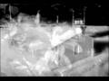 Beehoover - 'Stanislav Petrov'