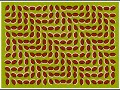 Optical illusions