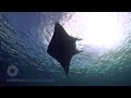 Solomon Islands - a view from the ocean
