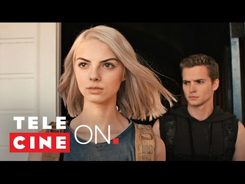 Maximum Ride: Projeto Angel
