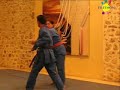 telethon1 avi