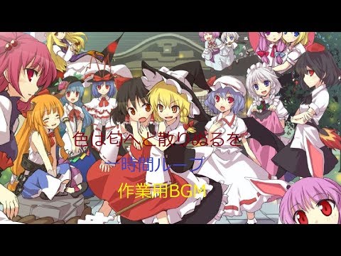 動画