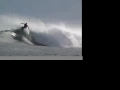 Bankvaults in the Mentawai Islands Bankvaults in the Mentawai Islands