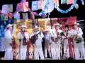 Tierra Caliente. Julio Arellano Ramos y su Grupo Tlavioguitam