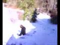 sledding top of the hill