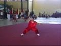 Cristhian Paez Wushu Nandao