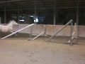 Nova free jumping #1