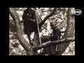Kampania polska 1939 - Przygotowania do wojny - cz. 2/6