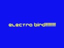 Electra Bird