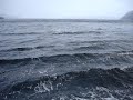 the sea keeps
