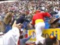Flying Bull Pajarito Flying Bull Pajarito