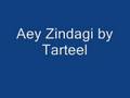Aey Zindagi Gale laga le by Tarteel