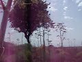 Parco Archeologico di Mileto \"Prima Parte\" Parco Archeologico di Mileto \"Prima Parte\"