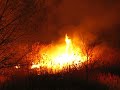 crazy brush fire part 2