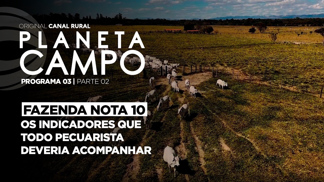 Fazenda Nota 10: gestão e indicadores na pecuária | Planeta Campo - ep. 3 parte 2