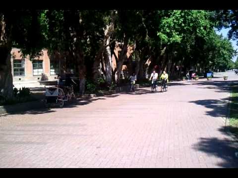 how to attach xterra bike trailer