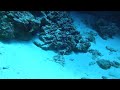 The Canyon - Dahab (Egitto)