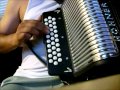 adornos de acordeon hohner panther sol/gcf